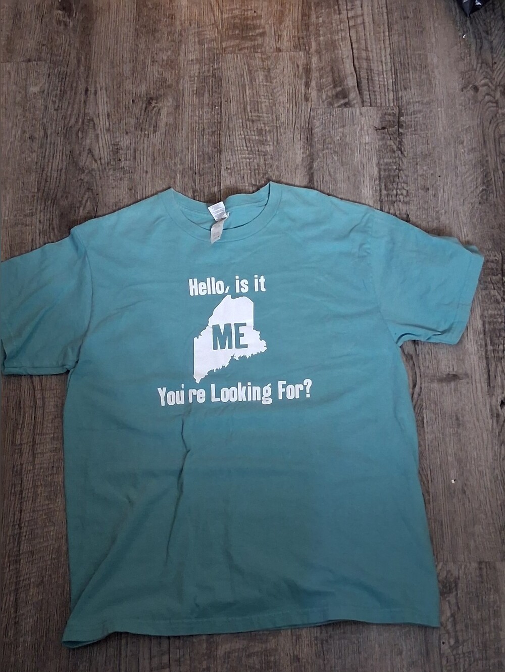 Maine Pun Graphic Tee Seafoam Green Size Large